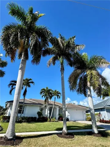Royal Palms