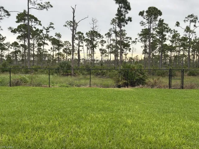 View of yard and Joe Coviello park