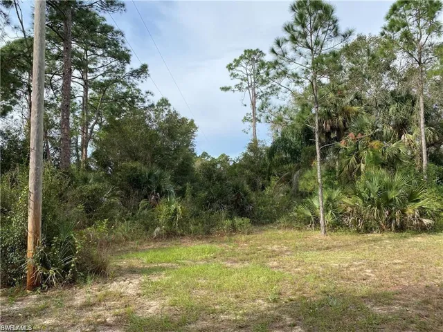 2905 Ashburn St, Lehigh Acres, Florida 33972