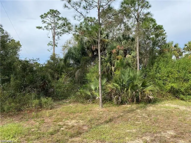 2905 Ashburn St, Lehigh Acres, Florida 33972