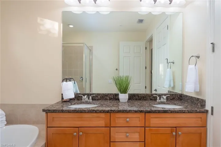 Bathroom with vanity and shower with separate bathtub