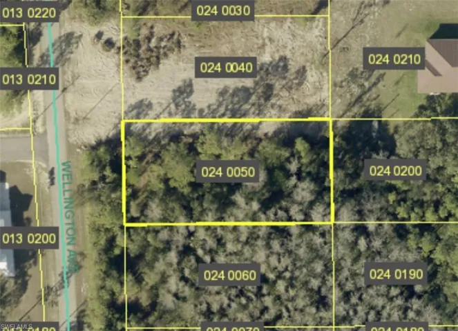 Aerial Parcel Map. Displaying property boundaries and identification numbers for the designated area