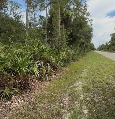 2114 Wellington Ave, Alva, Florida 33920