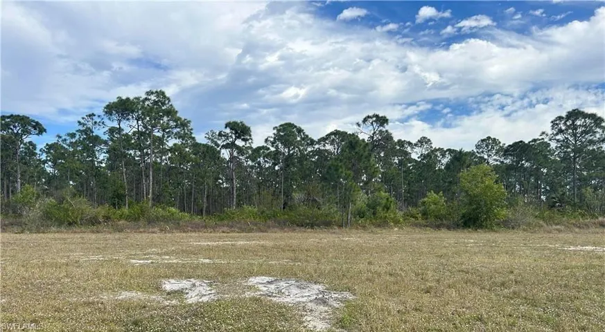 View of tree filled area