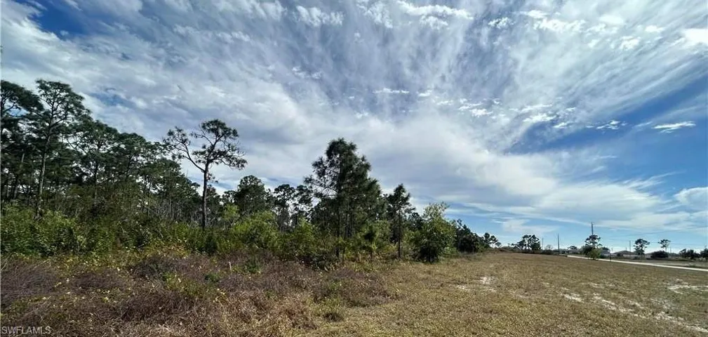 View of nature