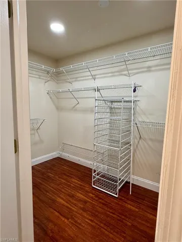 Spacious closet with dark wood-type flooring