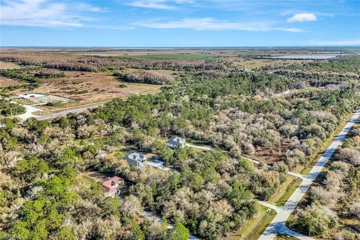 Aerial view of a heavily wooded area