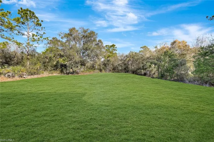 View of green lawn