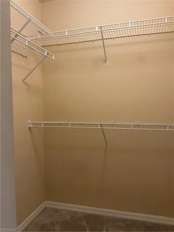 Master Walk in closet featuring carpet