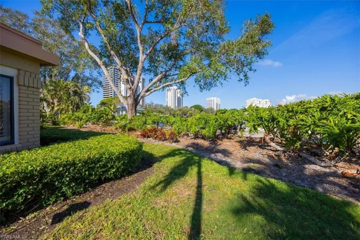 View of backyard
