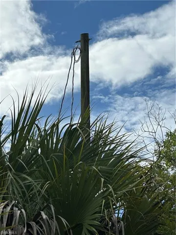 Utility pole on the SE corner of the lot