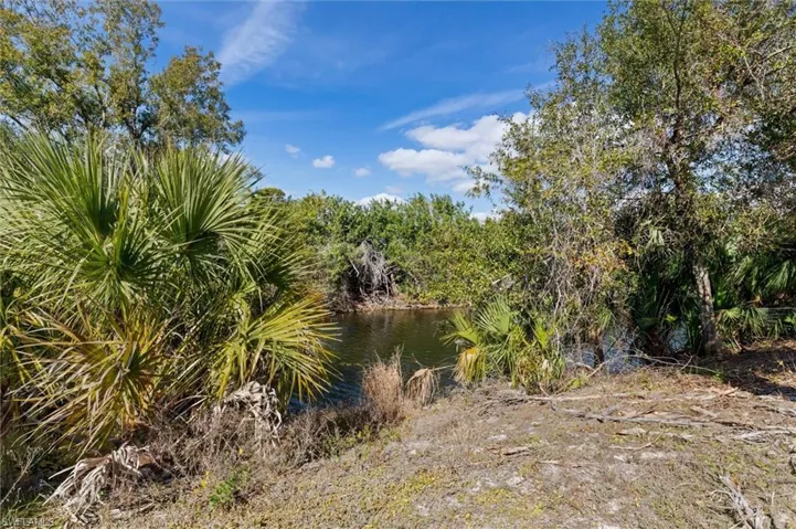 View of local wilderness with a large body of water