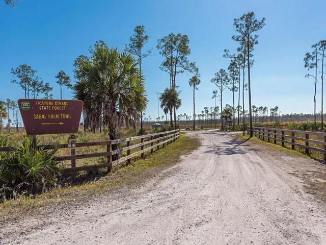ENTRANCE TO PICAYUNE STATE FOREST PARK, ADJACENT TO IRGANG PARCEL