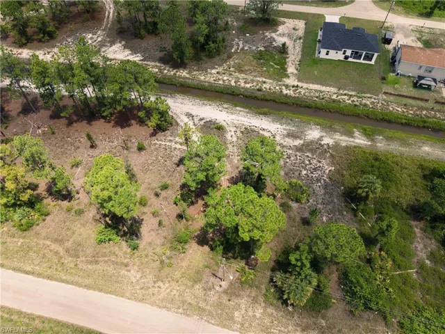 Expansive undeveloped lot featuring diverse vegetation, including mature pine trees