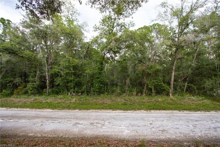 View of asphalt street with a wooded view