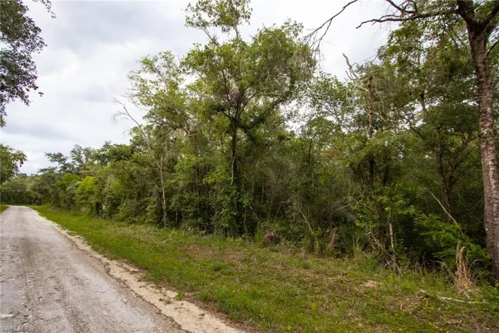 View of asphalt street with a wooded view