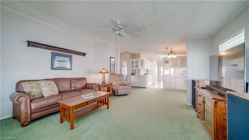 It's large. It's lovely. Don't be deceived by that Southwest Florida sunshine. The carpet is an excellent condition.