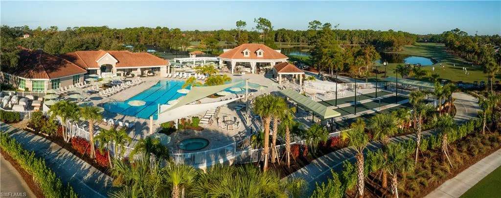 Drone / aerial view of a tree filled landscape