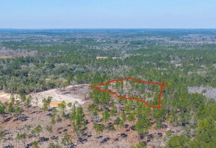 Aerial overview of property's location featuring a forest and property boundaries highlighted