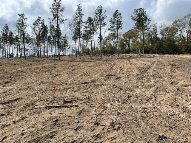 1669  Lawrence  RD, Bonifay, FL 32428
