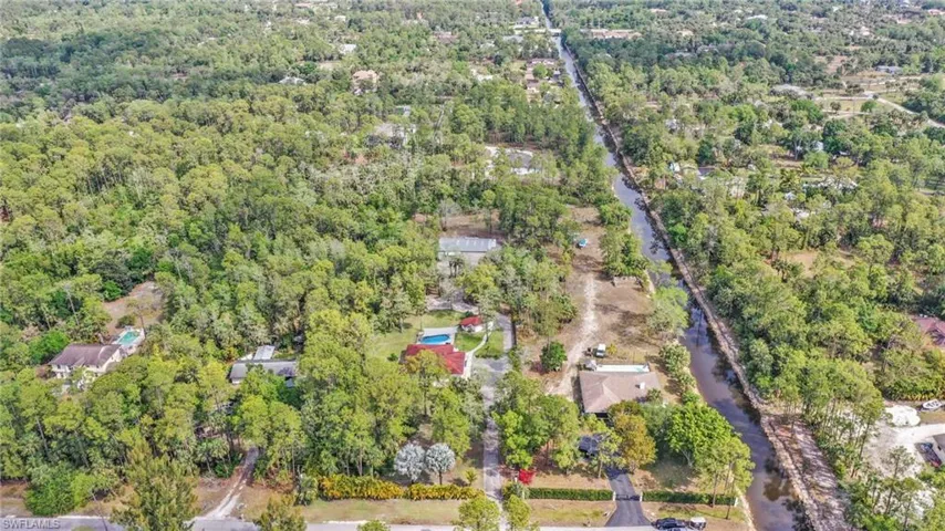 Aerial view of a forest