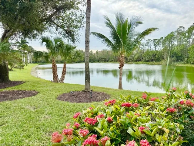 View of water feature