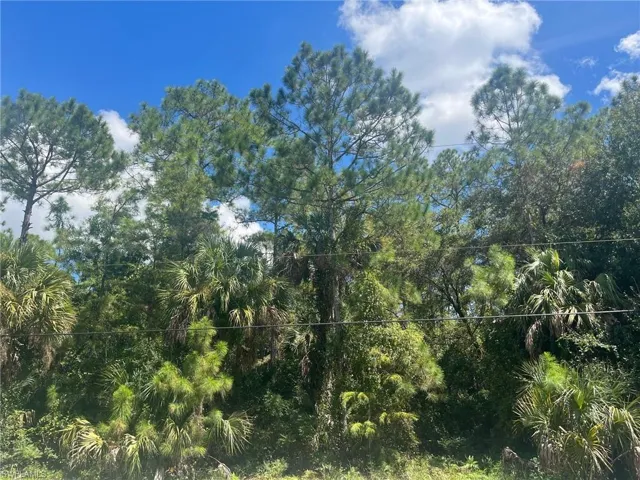 4th NE ST, Naples, FL 34120