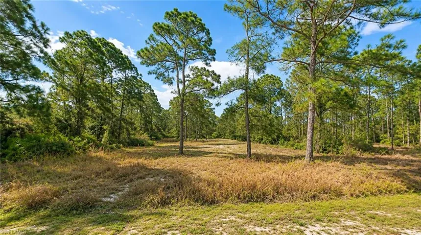 2206 Jefferson Ave, Alva, Florida 33920