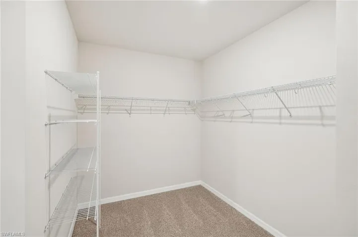 Spacious closet with carpet
