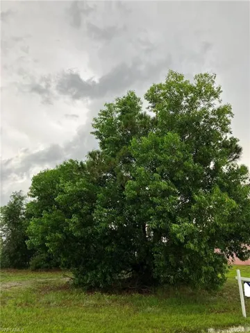4744 Nw 40th Ave, Cape Coral, Florida 33993