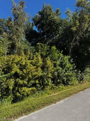 View of asphalt street with a view of trees
