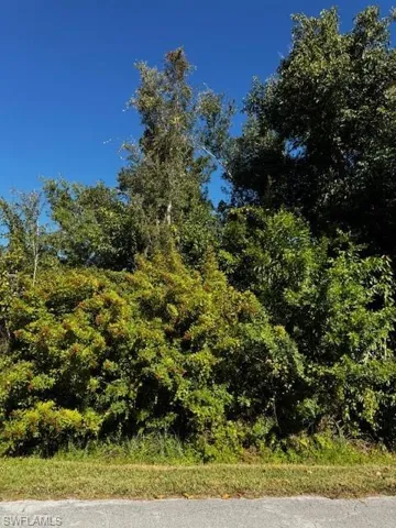 View of local wilderness