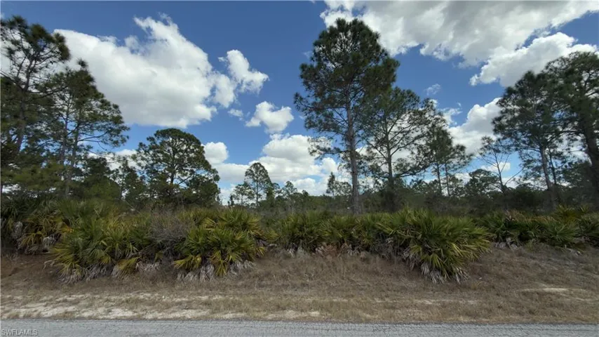 View of local wilderness
