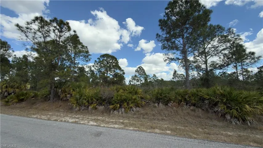 View of undeveloped land
