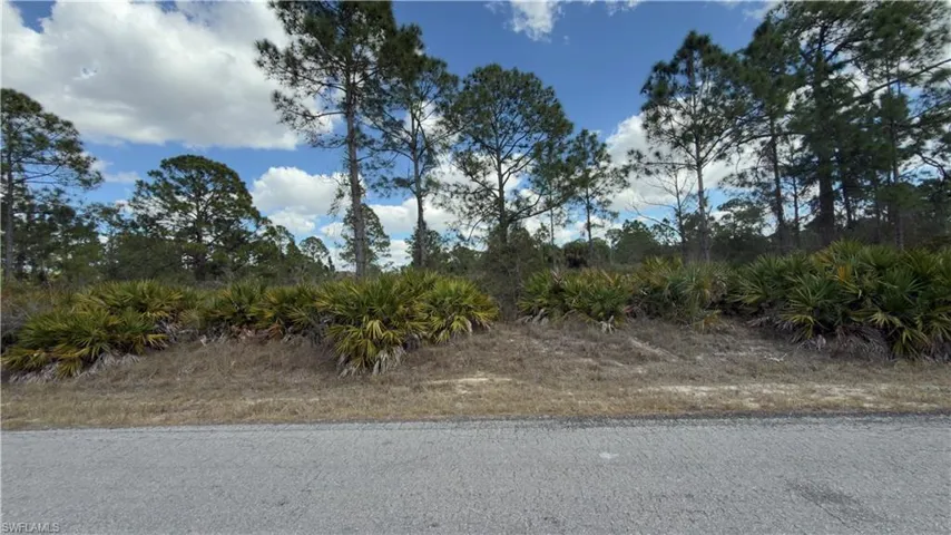 View of undeveloped land
