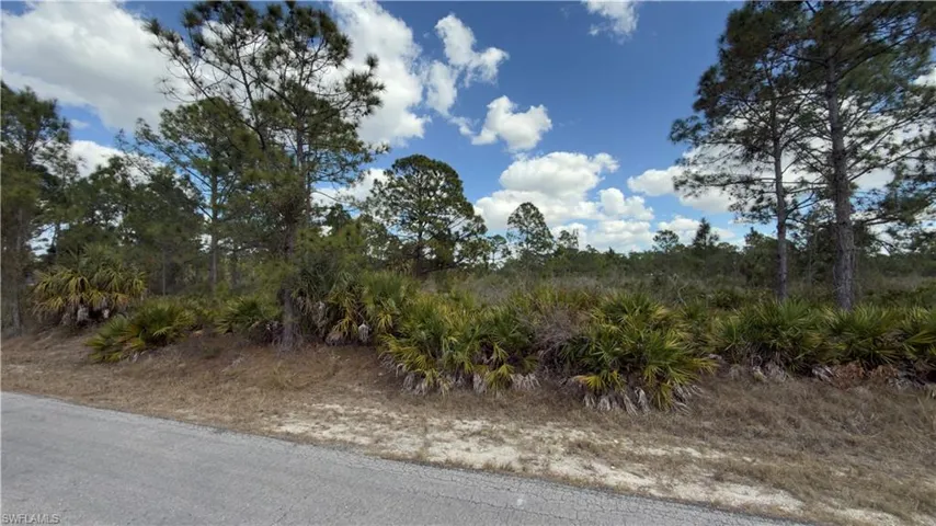 View of local wilderness