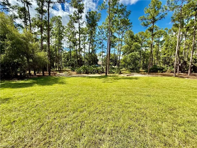 HALF ACRE LOT