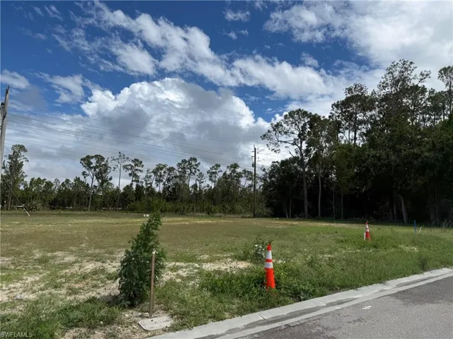 Expansive land parcel featuring existing road frontage and a backdrop of mature trees