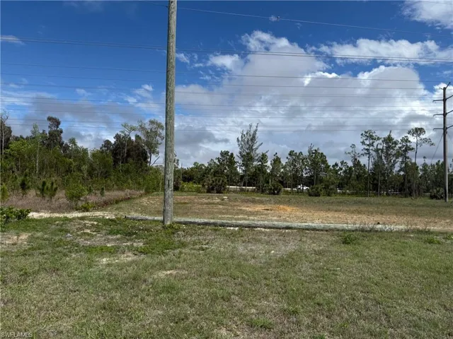 Expansive land parcel with partial clearing, surrounded by natural foliage