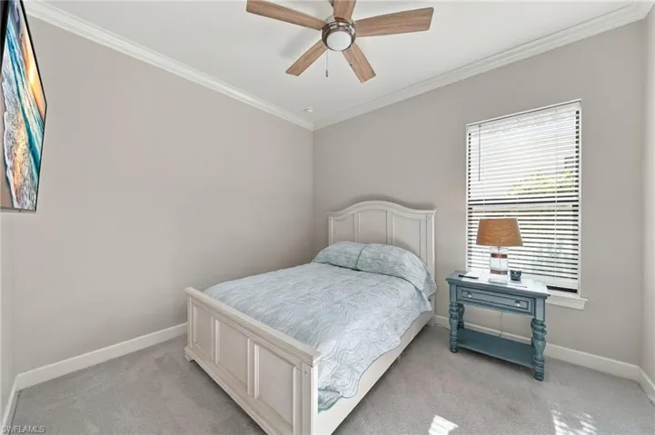 Neutral-toned interior room featuring crown molding, carpeting, and a wood-finish ceiling fan with integrated lighting