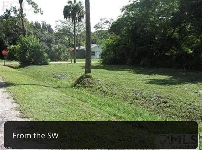 View of green lawn featuring view of wooded area