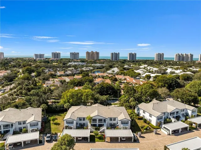 Drone / aerial view of skyline
