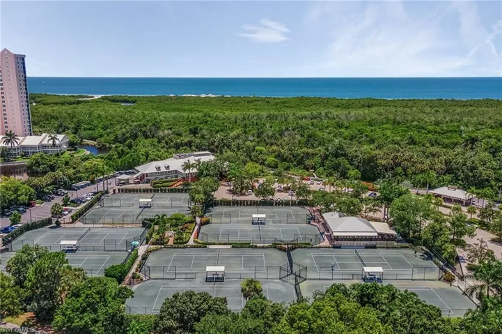 Drone / aerial view of a forest and a nearby body of water