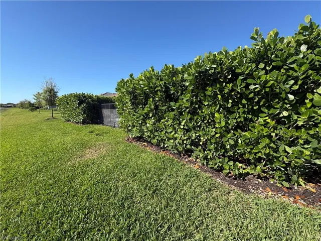 Lush privacy hedge bordering a verdant lawn
