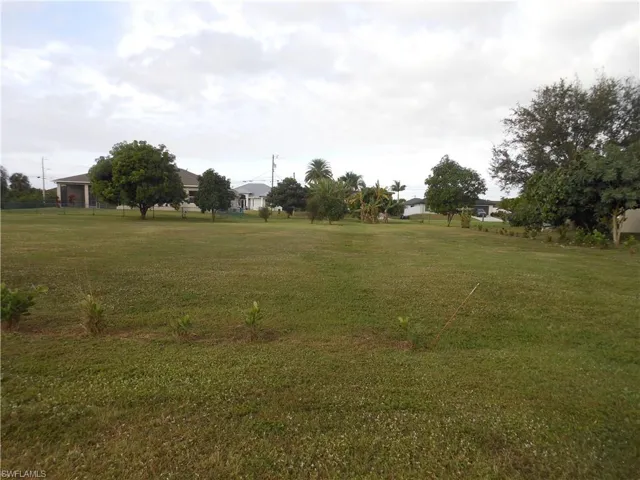 View of grassy yard