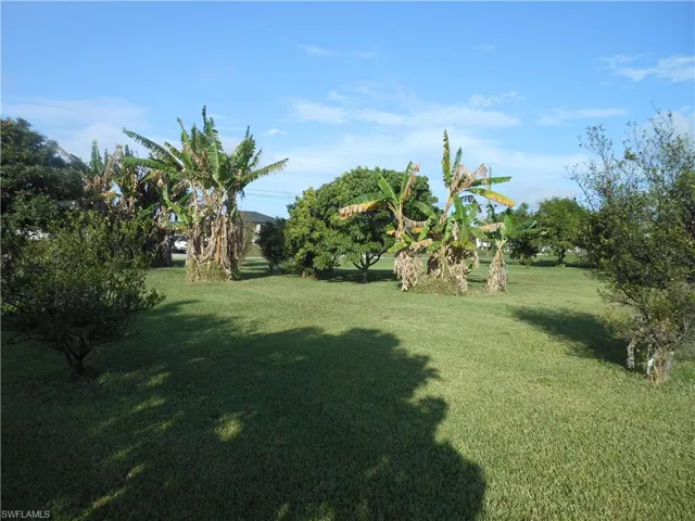 View of green lawn