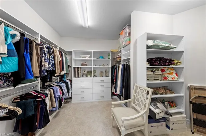 Spacious closet featuring light carpet