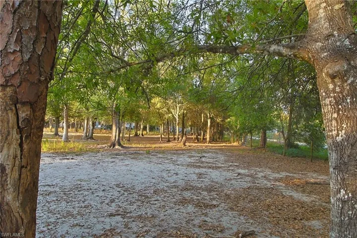 Surrounding community