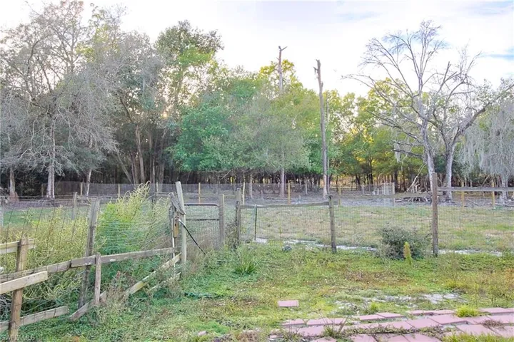 View of yard