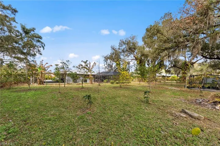 View of grassy yard